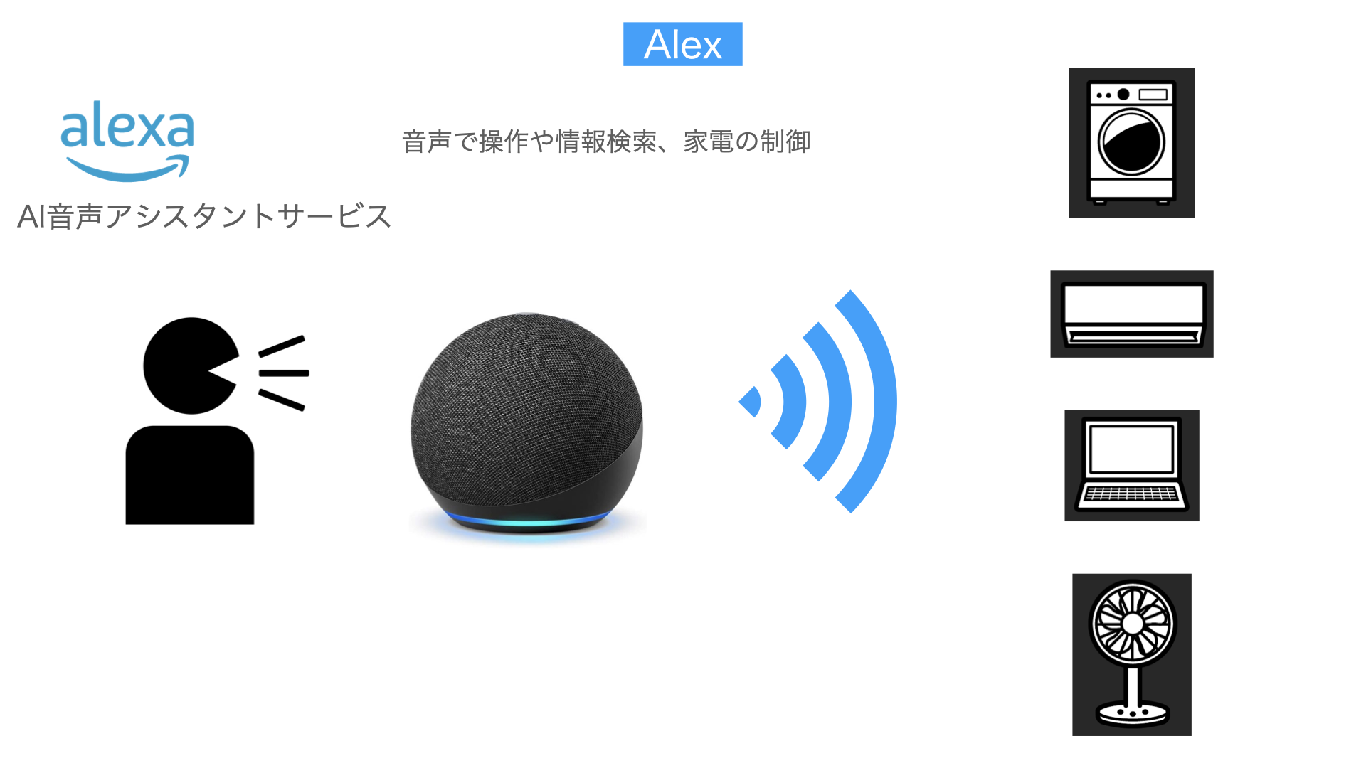 Alex解説図